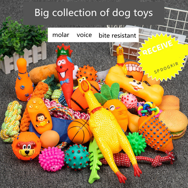 Interactive Dog Toys Kit: Ball, Bone, Rope, Plush Squeaky Toys For Small & Large Dogs Puppy Chew Toy Set & Molar Aid 3