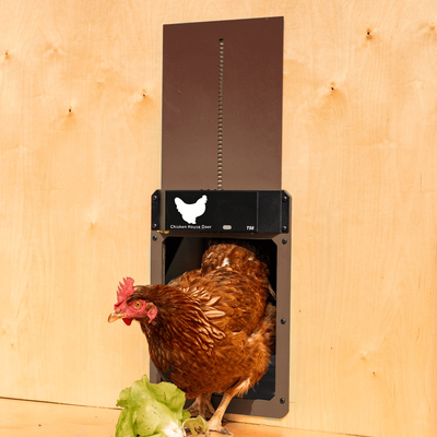 Reliable And Automatic Chicken House Door Opener Hassle Free Solution For Poultry Owners Reliable And Automatic Chicken House Door Opener Hassle Free Solution For Poultry Owners
