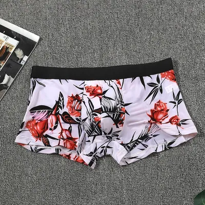 Herrenunterwäsche, Herren-Slips, Eisseiden-Sohlen, viereckige Bündchen, Herren-Modal-Stil, individueller Sommerstil Image