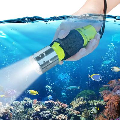 2000 Lumen Scuba Dive Light, IP68 Waterproof Underwater LED Torch For Diving, Fishing & Survival 2000 Lumen Scuba Dive Light, IP68 Waterproof Underwater LED Torch For Diving, Fishing & Survival