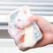 5 Sets Double Sided Cleaning Sponge, Honeycomb Dishwashing Sponge For Household Cleaning & Decontamination 5 Sets Double Sided Cleaning Sponge, Honeycomb Dishwashing Sponge For Household Cleaning & Decontamination