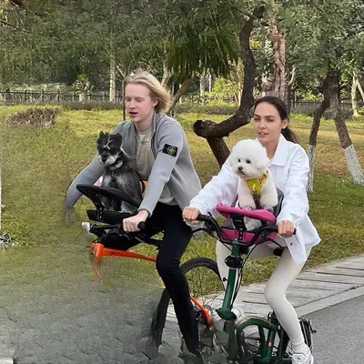 Bicycle Pet Seat Dog Cat Safety Seat Bicycle Pet Basket Mountain Bike Folding Car Seat