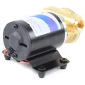 Pompe de cale auto-amorçante 12 V 30 L/min pompe de lavage de pont pompe de cale pompe Submersible pompe à membrane pompe de surpression pompe à eau