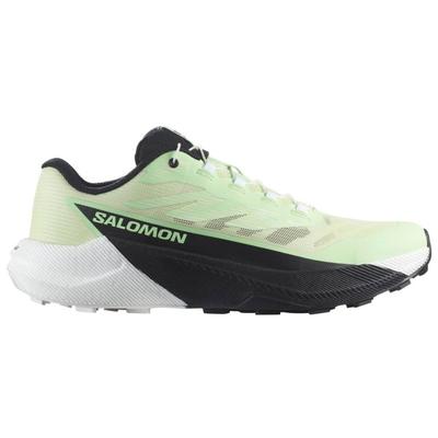 Salomon - Women's Pulsar - Trailrunningschuhe 43 1/3 | EU 43 grün Image