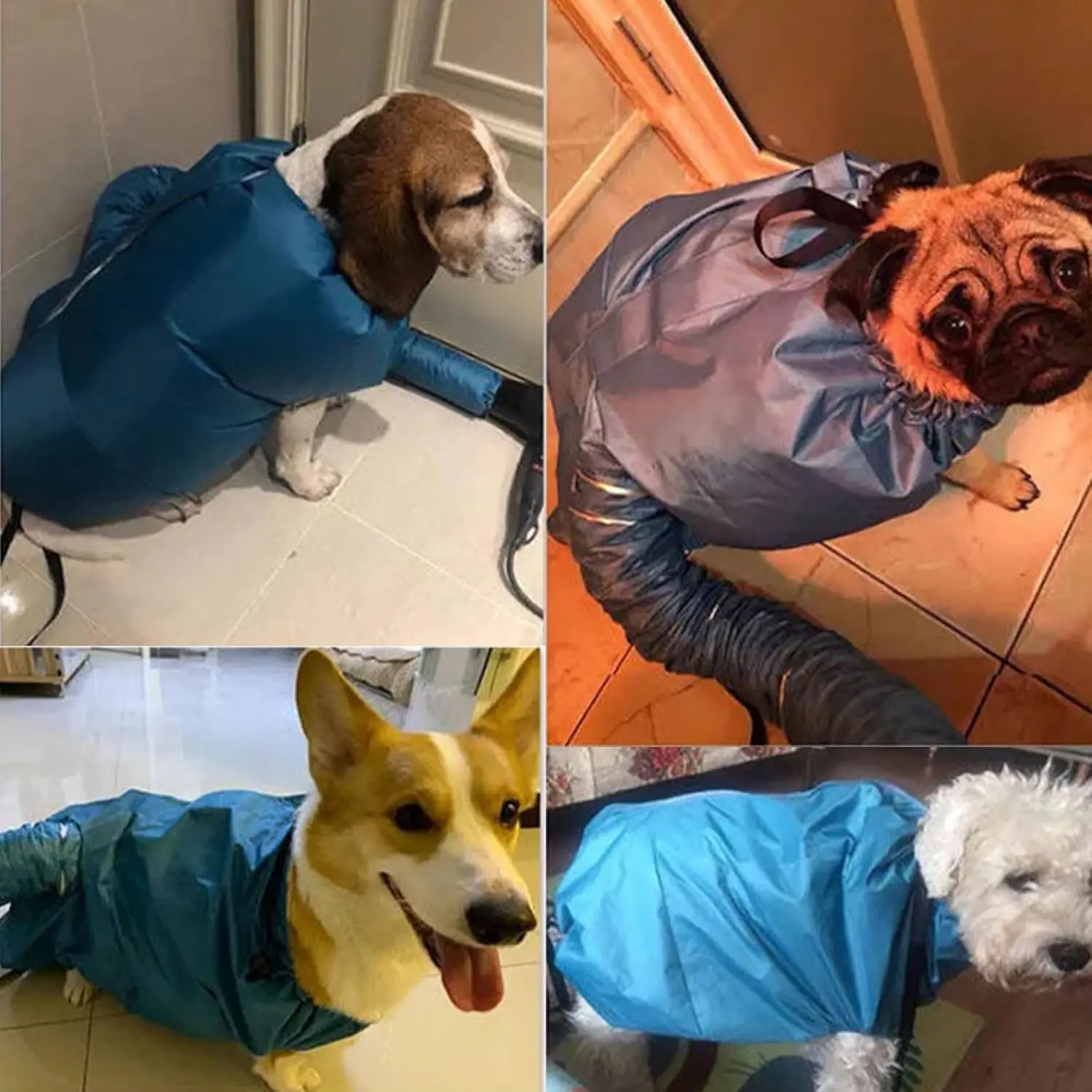 Tragbare Haustier Trocknen Tasche Falten Hund Haar Trockner Box Schlag Tasche Hundesalon Trockenen Tasche Hund Blasen Katze Baden Pet Haar Trocknen Kleidung Image