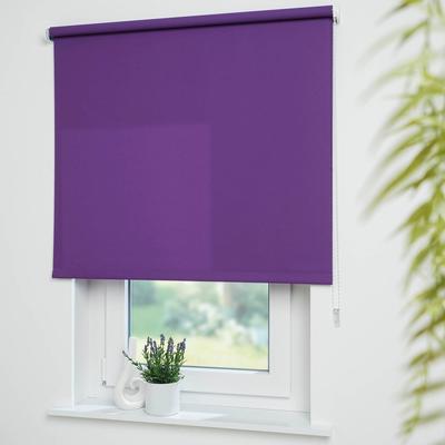 Seitenzugrollo LIEDECO "Uni" Gr. 10, lila (brombeere), B:202cm H:180cm, Polyester, Rollos, Montage ohne Bohren zum Klemmen mit separatem Klemmträger möglich Image