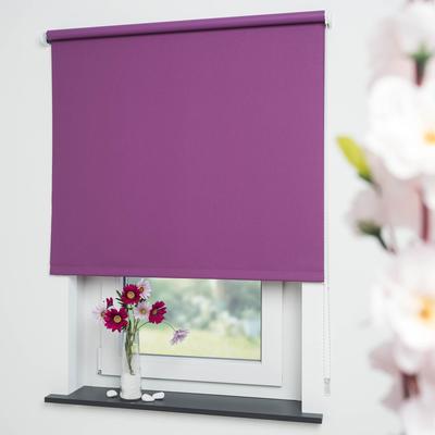 Seitenzugrollo LIEDECO "Uni" Gr. 16, lila (brombeere), B:172cm H:180cm, Polyester, Rollos Image