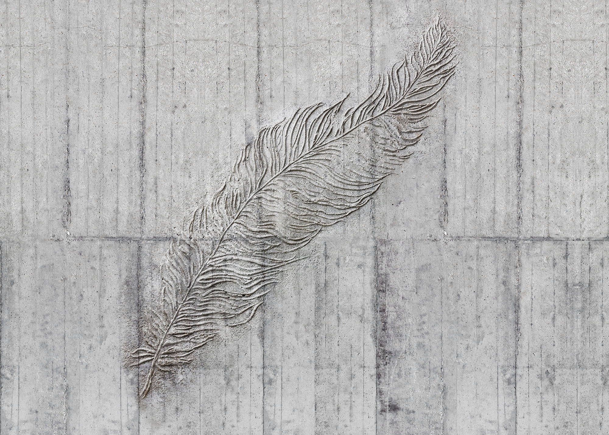Vliestapete KOMAR "Digitaldruck Vlies - Concrete Feather - Größe 350 x 250 cm", grau (grau, schwarz), B:350m L:250m, Vlies, Tapeten, Wohnzimmer, Schlafzimmer