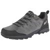 Wanderschuh JACK WOLFSKIN "MTN GOAT LOW M", Gr. 47, grau, dunkelgrau, Leder, sportlich, Schuhe, Trekkingschuh