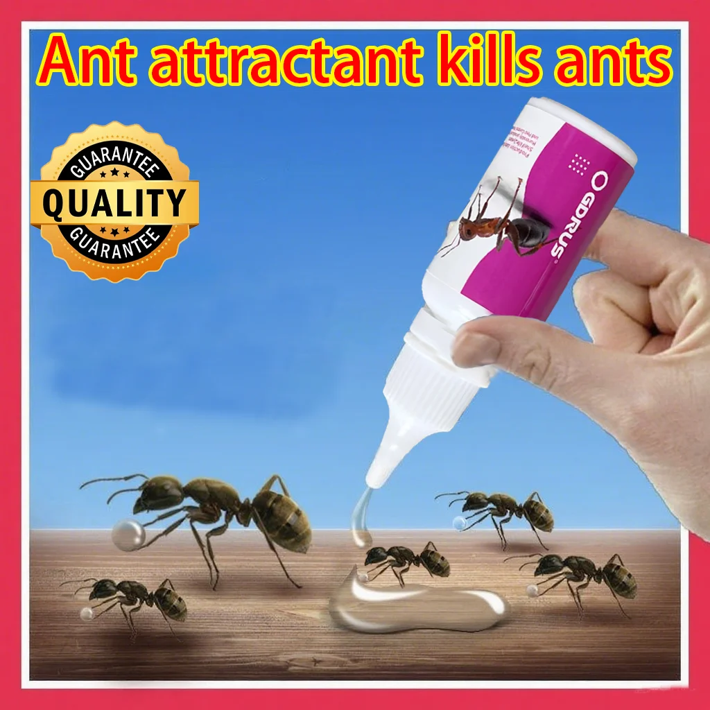 Ameisenfalle-Gel kann Ameisen schnell beseitigen Image