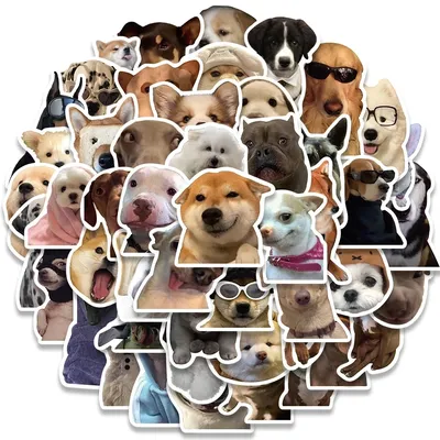 10/30/50/100 Stück süße Hund Katze MEME lustige Tiere Aufkleber ästhetische Aufkleber Notebook Auto Motorrad Laptop Kind Cartoon Aufkleber Spielzeug Image