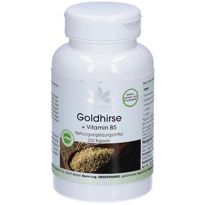 GOLDHIRSE+Vitamin B5 Kapseln 250 St Image