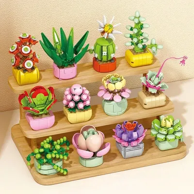 TOYLINX Sukkulenten, Pflanzendekoration, Gebäude, Blumenstrauß, Spielzeug-Sets, botanische Sammlung als Halloween-Feiertagsgeschenke für Kinder Image