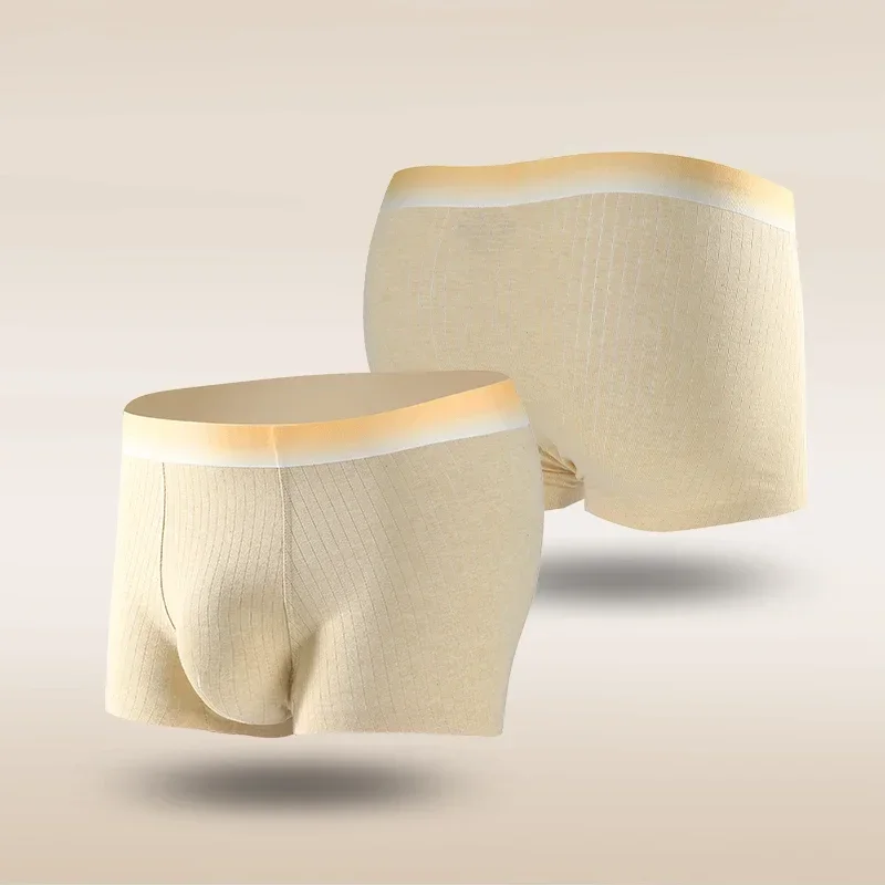 3PCS Herren-Unterwäsche aus antibakterieller Baumwolle, nahtlos, dünne Boxershorts für Herren Image