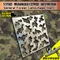 Alexen Modello AJ0032 Foresta generale Camouflage Stencil Modello di assemblaggio Strumenti di spruzzatura per adulti Modello militare Hobby Pittura fai da te