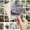 32pcs, vintage herb garden postcards, perfect for birthday/anniversary gifts, suitable for collecting, giving, and mailing.