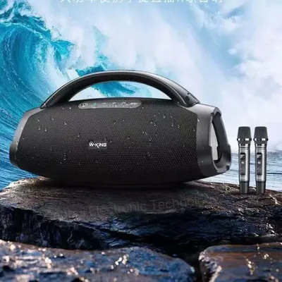 Wking D20 200W Active Sound System Outdoor Speakers Concert/Live Sound/Stage/Party Professional Audio Speakers TWS Wireless Micr