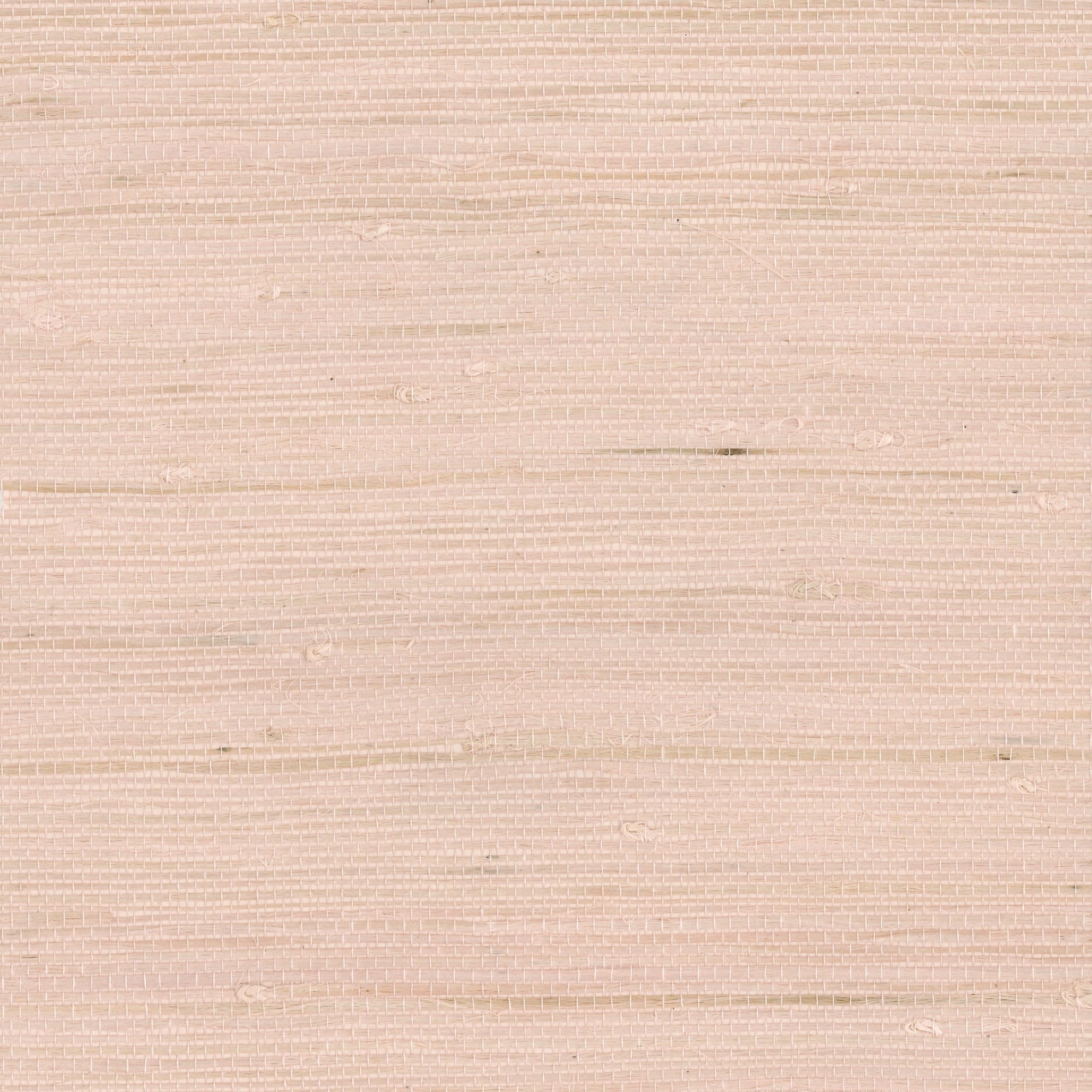 Carta da parati / Carta da parati in erba / Carta da parati naturale / Carta da parati strutturata / Carta da parati moderna / Carta da parati rosa /