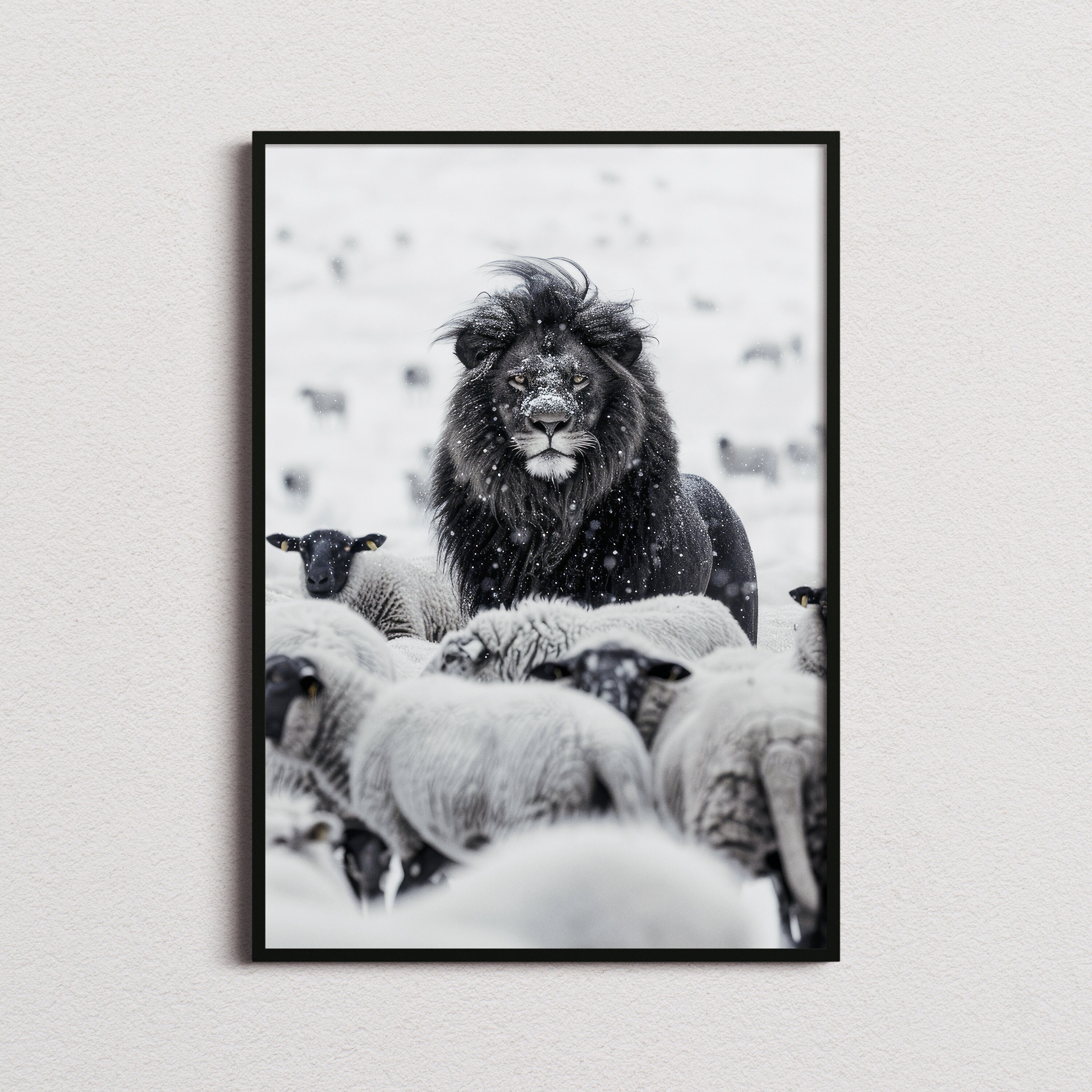 Stampa di un leone tra le pecore, stampa di un leone, poster di un leone, foto di un leone, arte di un leone, stampa in bianco e nero, arte murale in
