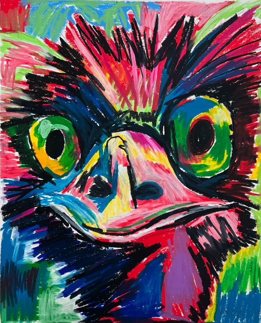 EMU - Stampe Pop Art di animali, stampe su tela di animali, poster colorati, dipinti murali safari, decorazioni colorate, design di emù, arte di struz