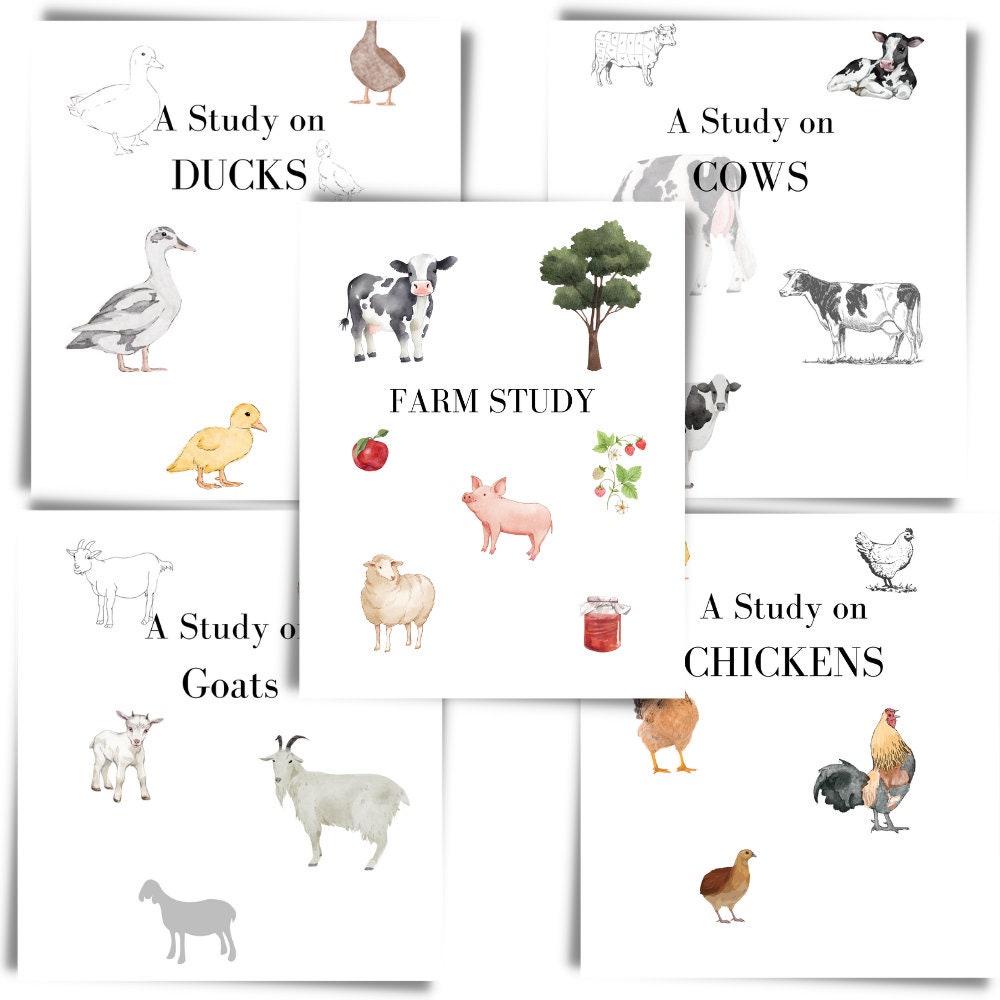 Studio dell'unità sugli animali, Mega Farm Bundle, Studio dell'unità sui polli per l'istruzione parentale, Studio dell'anatra, Studio della capra, Pac