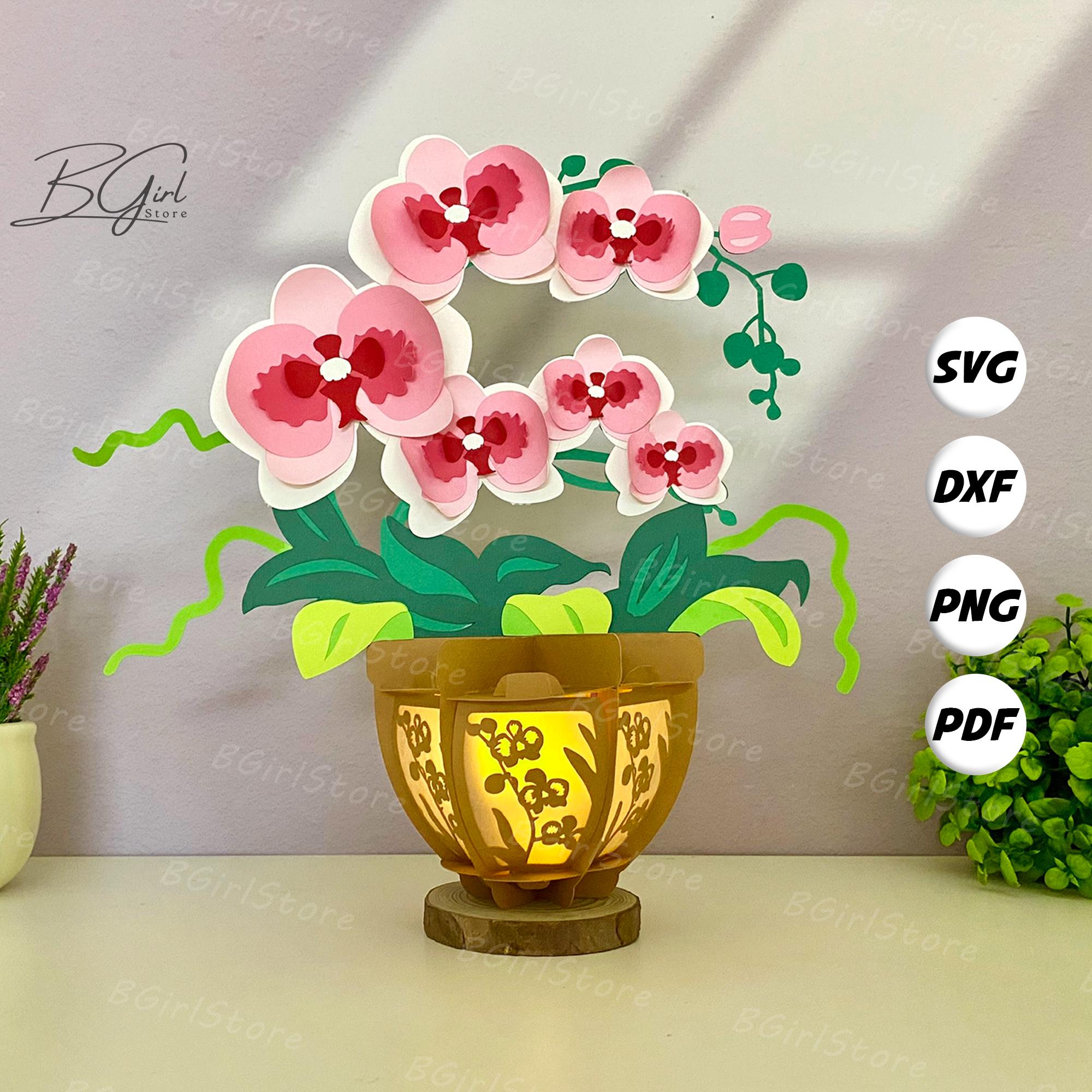 Lanterna a forma di vaso di fiori con orchidea in formato PDF, SVG, modello da studio - Modello fai da te con carta ritagliata per fiori - Lanterna pe