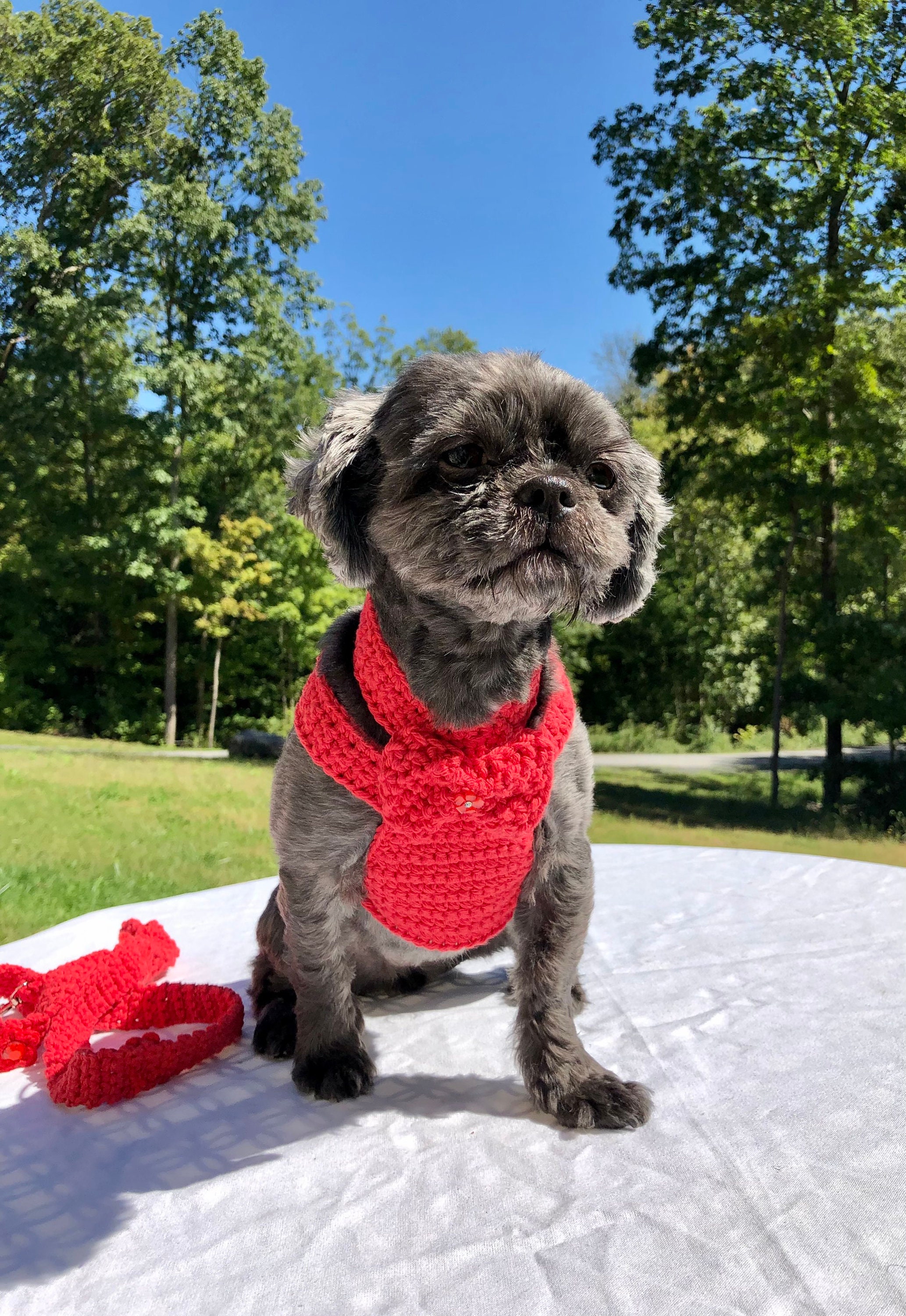 Imbracatura per cani rossa, guinzaglio per cani, imbracatura e minimo set, imbracatura per cuccioli, imbracature senza trazione, imbracatura per mini