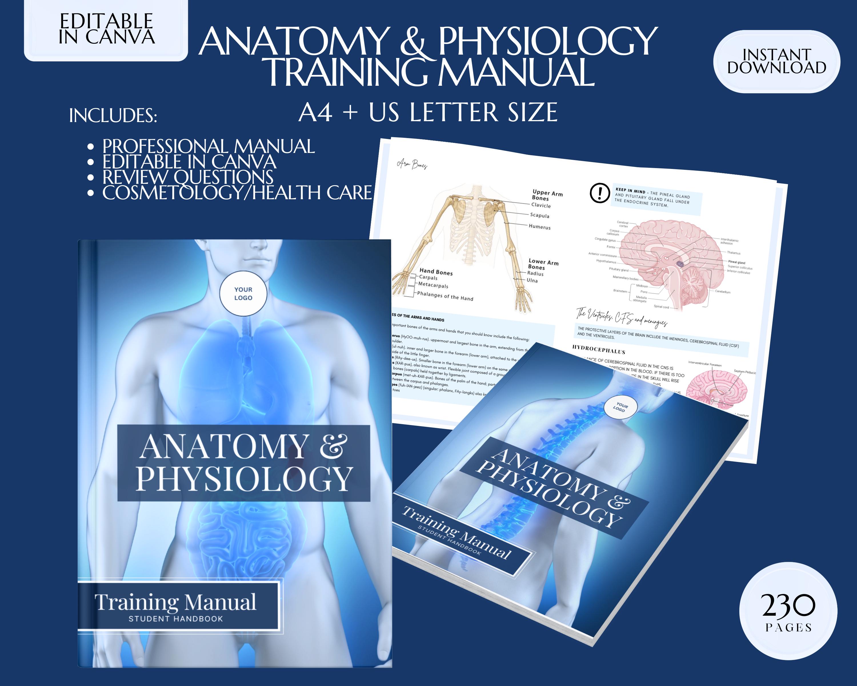 Manuale di formazione in anatomia e fisiologia, corso di A&P modificabile (download digitale)