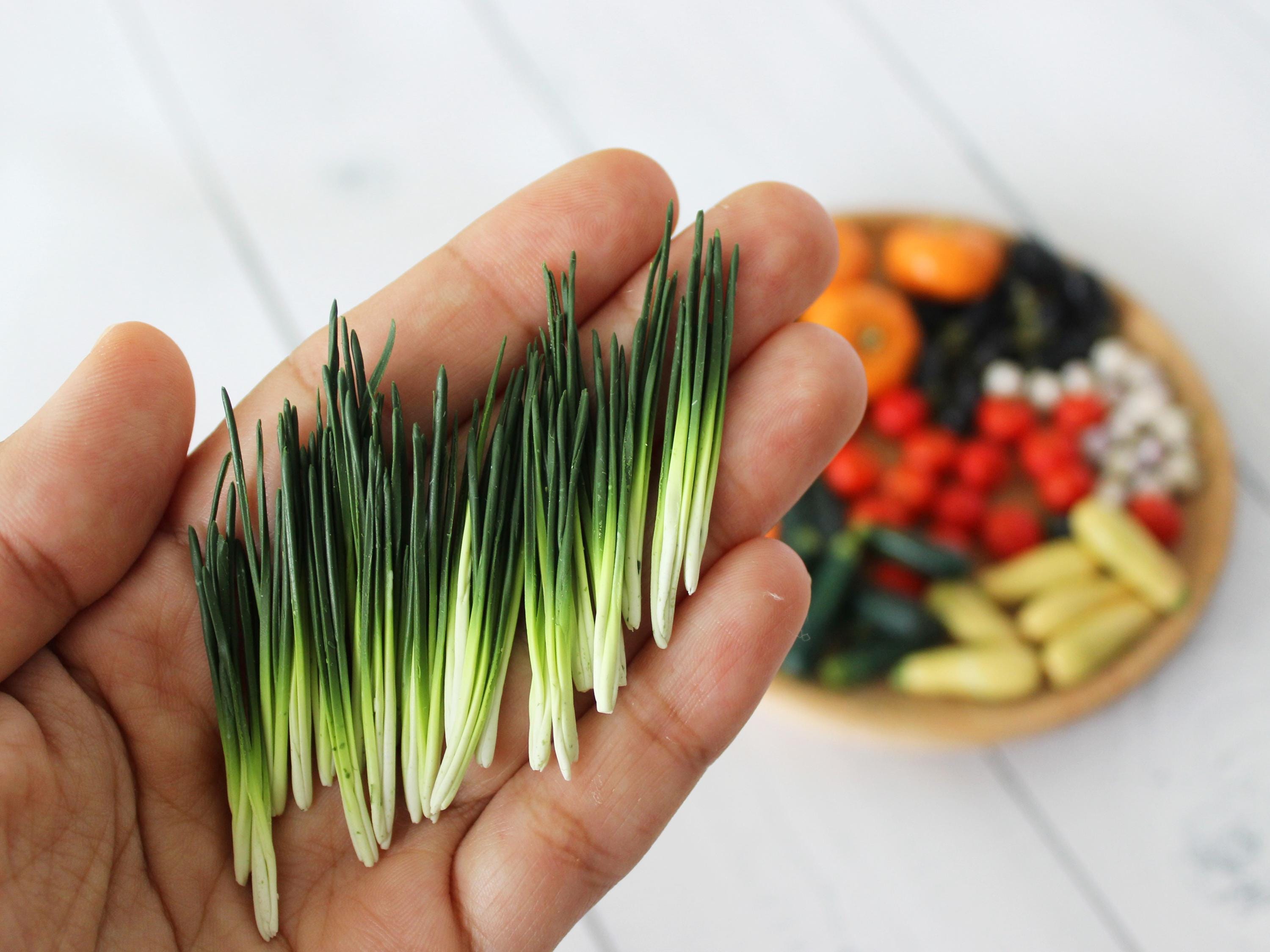 Cipolla verde in miniatura 1:12 Verdure in miniatura Contadino in miniatura Cibo in miniatura realistico per bambole Miniature per case delle bambole