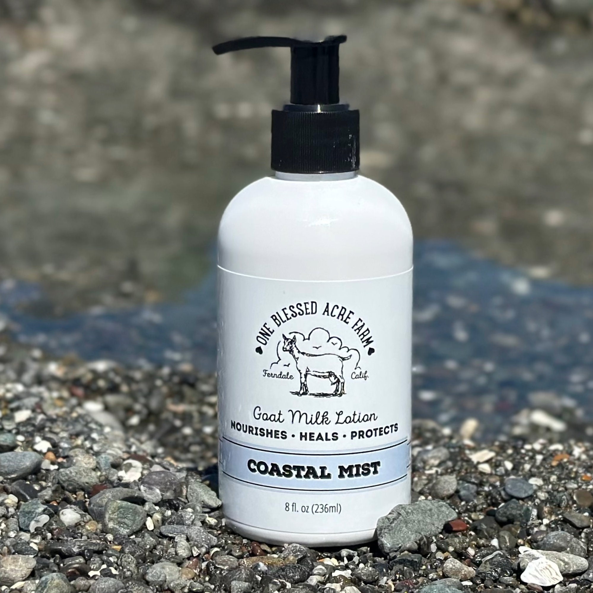 Lozione al latte di capra costiera, crema mani idratante al profumo di oceano per lei, lozione per il corpo, crema corpo al sale marino, lozione da vi