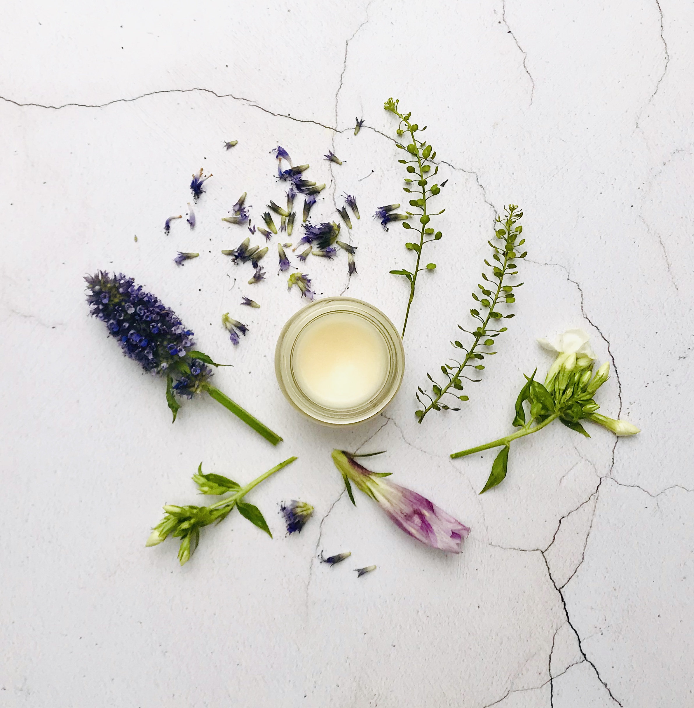 Deeds Not Words - Profumo solido, vegano, senza alcol. Con radice di iris, rosa, ribes nero, galbano, violetta ed elemi, nonché con estratti.