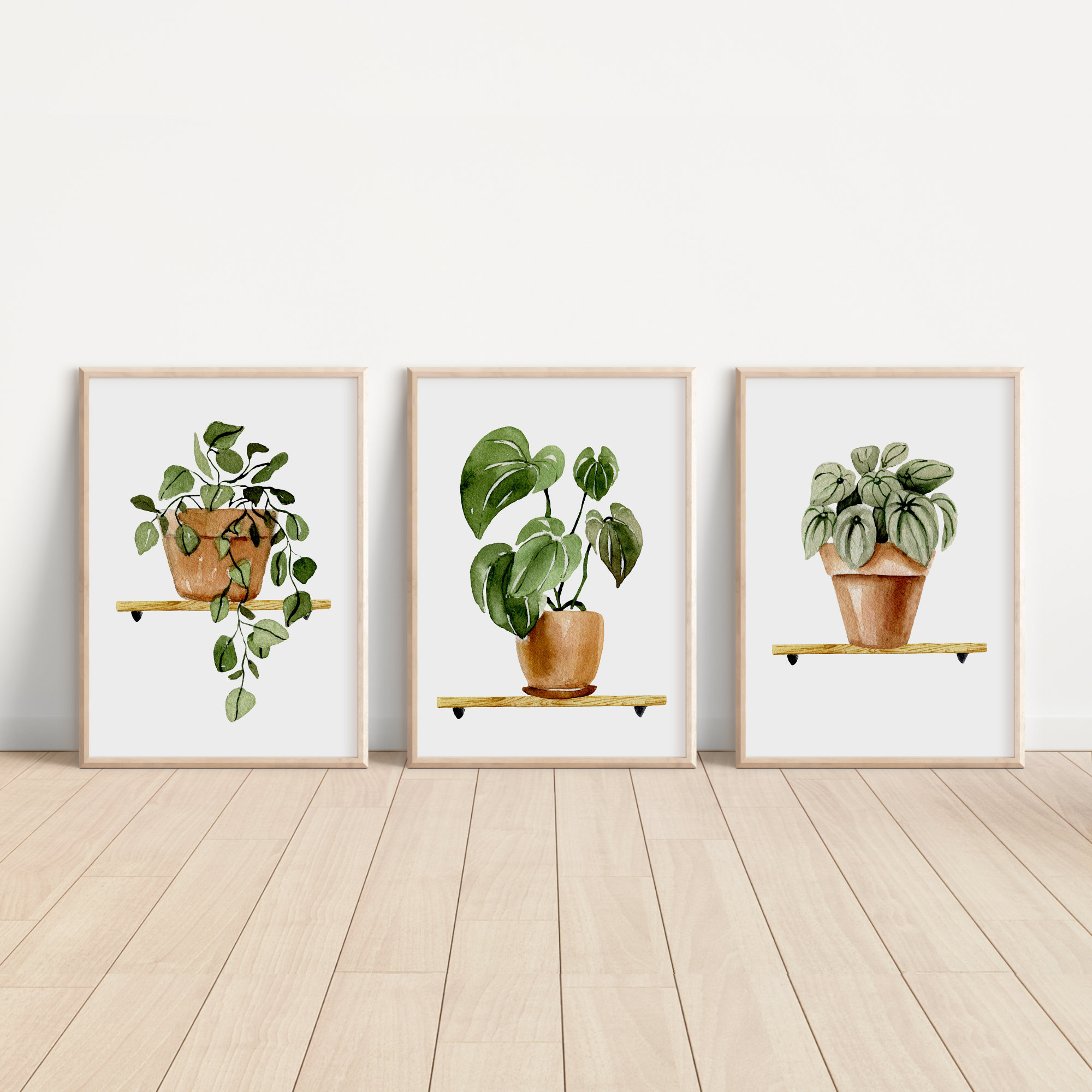 Set di 3 piante ad acquerello, set di stampe botaniche, stampe di foglie, set per parete galleria, trittico di piante da interno, arte murale con pian