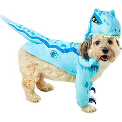 RUBIES Jurassic World Blue Velociraptor Pet Costume, Blue, Medium