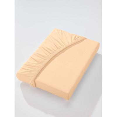 Betttuch BIBERNA Gr. 4, beige, B:180-200cm L:200-220cm, Jersey, 97% Baumwolle, 3% Elasthan, Laken Image