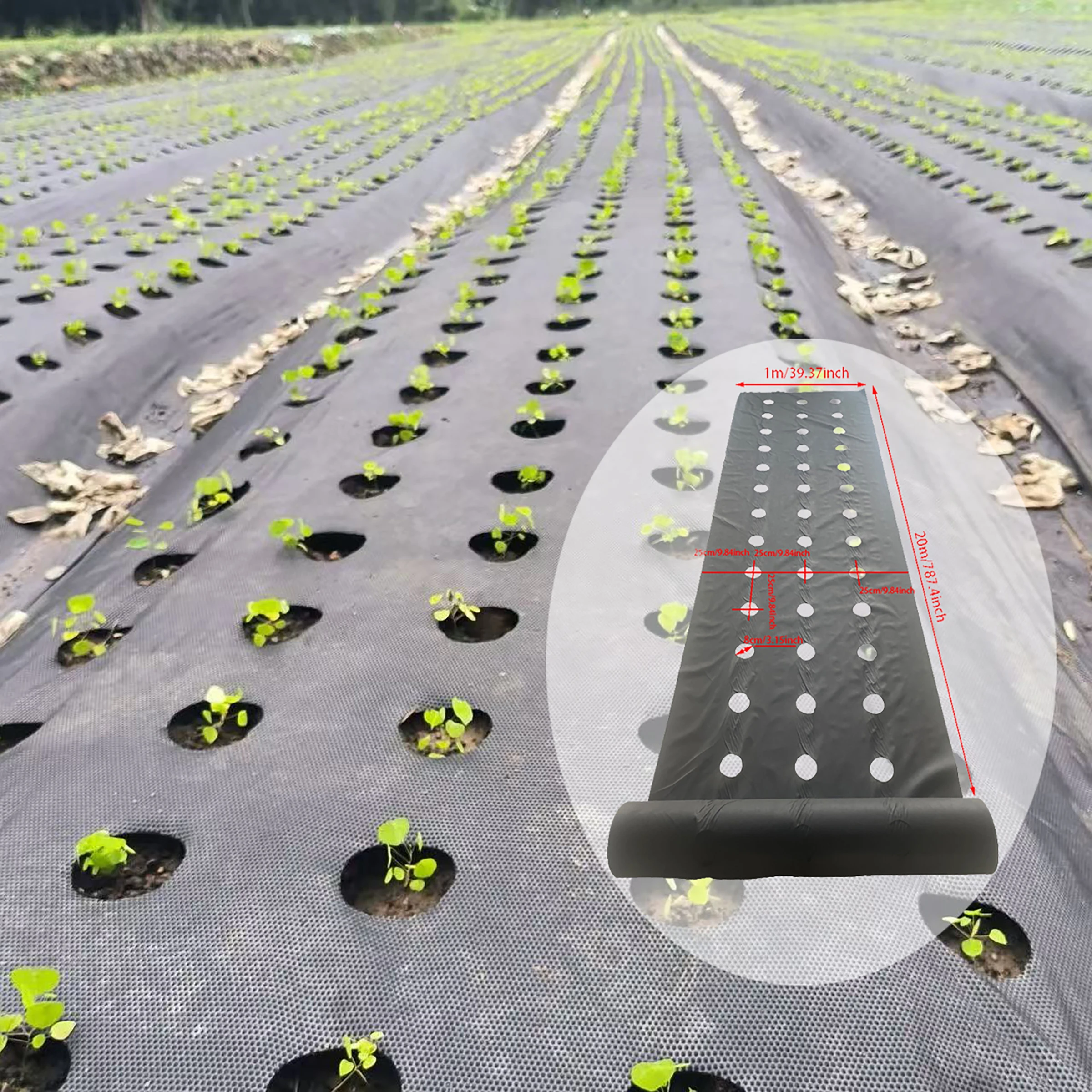 Perforierte schwarze Unkrautbarriere, geeignet für die Hausgartenarbeit, Erdbeer- und Gemüsebepflanzung, um Unkraut zu verhindern und die Arbeitslast zu reduzieren Image