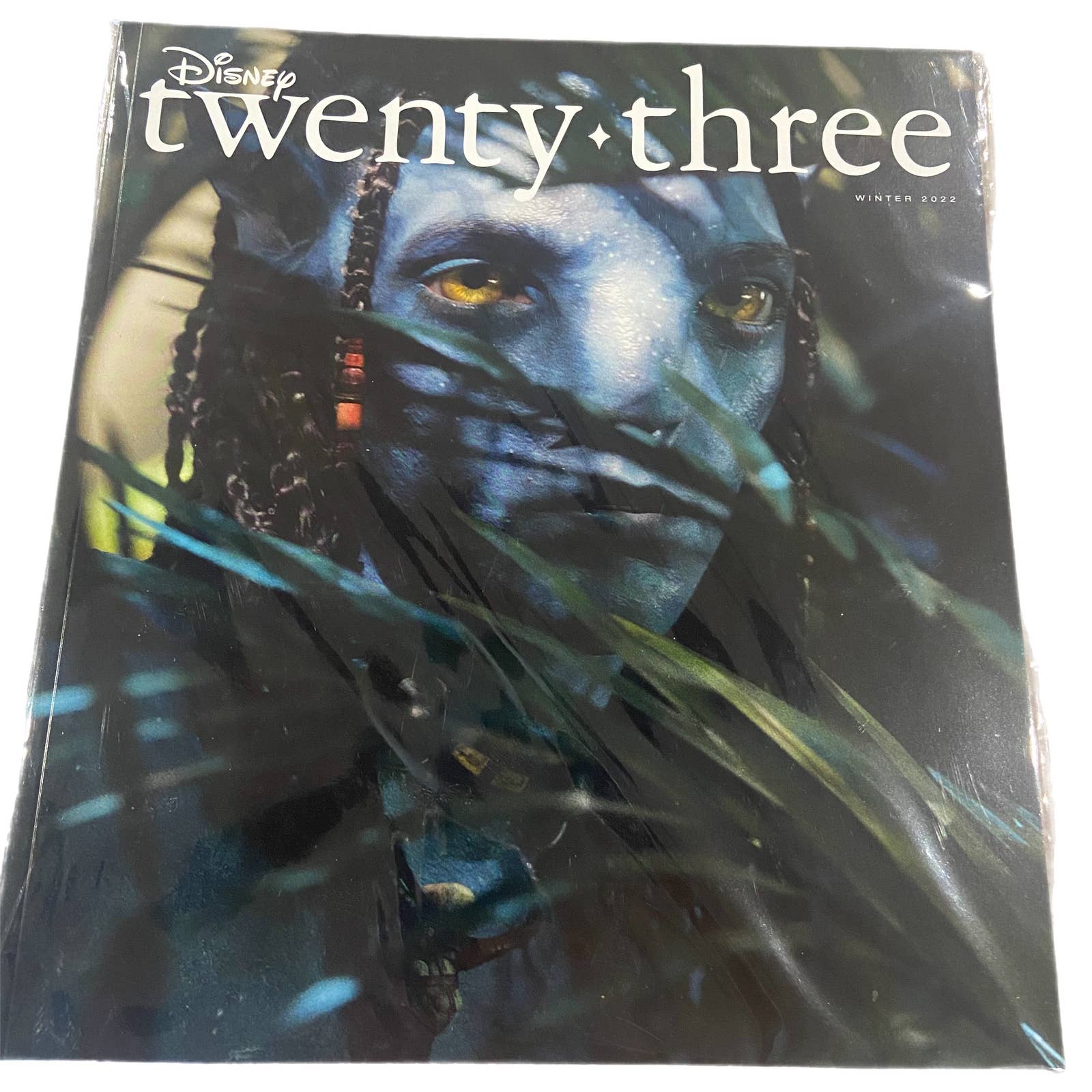 Disney Other | Bundle & Save W/D23 Magazines! Disney Twenty-Three Magazine Avatar Winter 2022 | Color: Gray | Size: Os