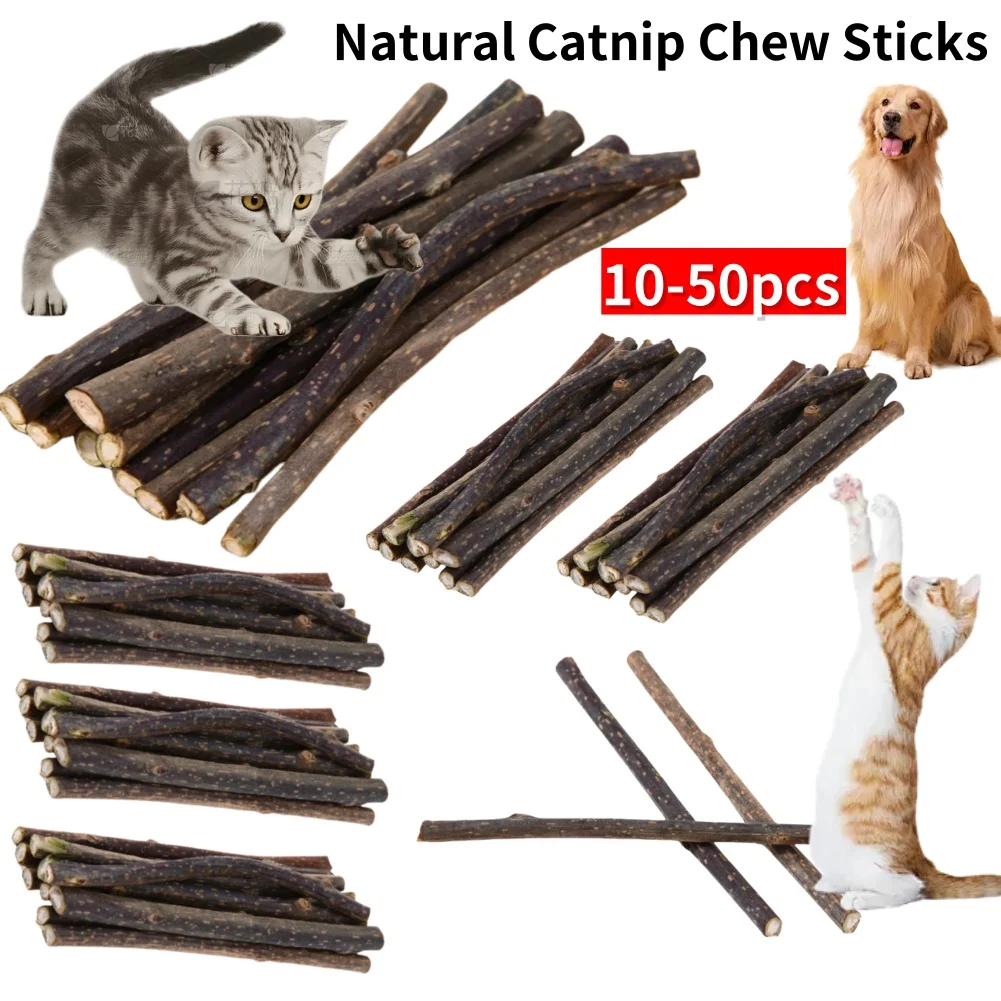 10-50PCS Katze Katzenminze Spielzeug Natürliche Sticks für Katzen Haustier Zähne Reinigung Spielzeug Katze Kauen Spielzeug Kätzchen Silvervine sticks Pet Liefert Image