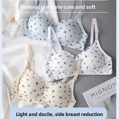 Sweet Bow Tie Underwear, Women's Small Bust, No Steel Ring, Lace Bubble, Japanese Style Anti-sagging, Thin and Breathable Bra