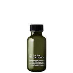 Shampoo 40 ml - The Spa Collection Vetiver Cosmos Natural (Box mit 300 Stück)