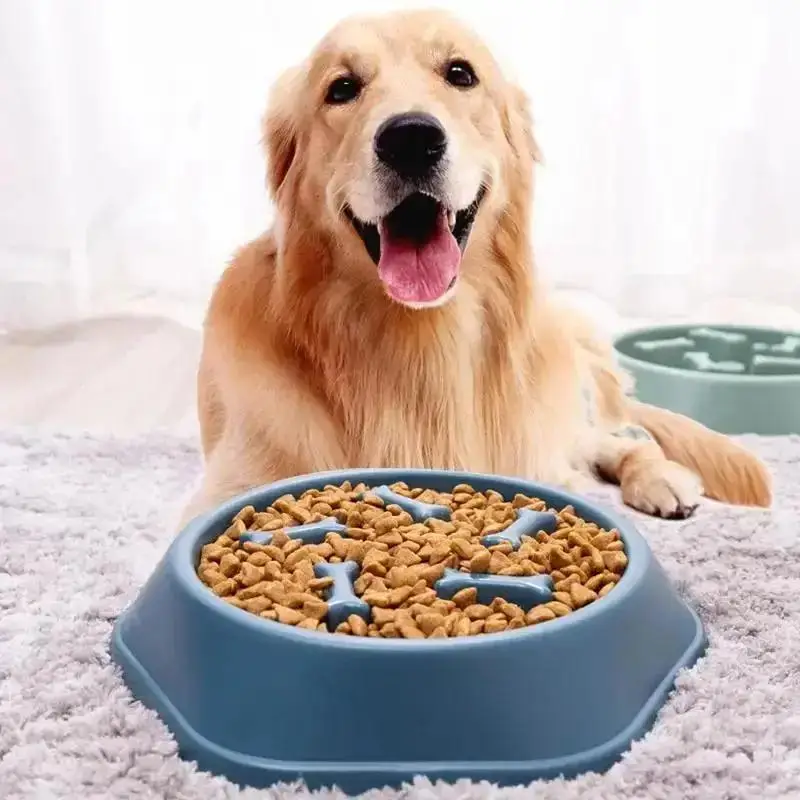 Bol pour chien Anti-étouffement bol de nourriture lente Pot d'alimentation pour chien de petite et moyenne taille Pot de nourriture pour chat nourriture pour chien Anti-renversement fournitures pour