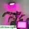 LED élèvent des lumières spectre complet Phyto lampe plante d'intérieur lumière de croissance hydroponique LED plante lampe légumes fleur graines lampe de culture