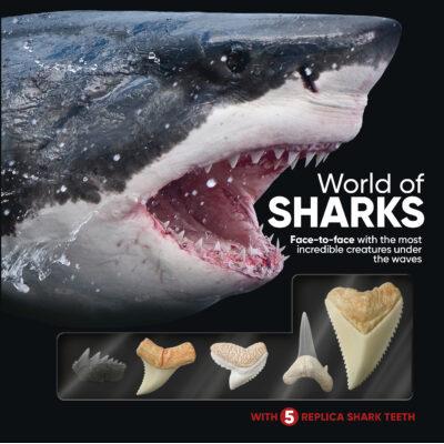World of Sharks w/Teeth