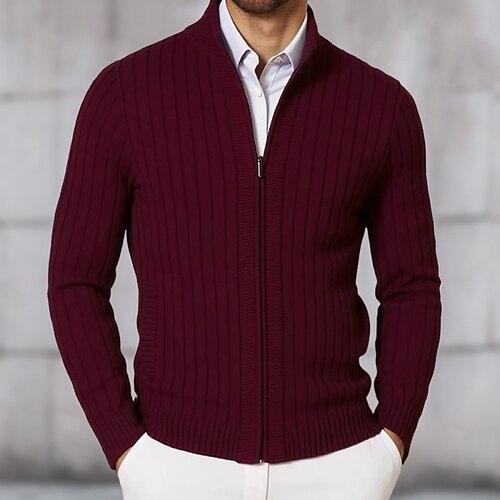 Herren Pullover Kleid Pullover Strickjacke Reißverschluss-Pullover Strickpullover Gerippt Stricken Kurz Gestrickt Gerippt Einfach Stehkragen Mode Schals Geschäft Lässig Bekleidung Herbst Winter