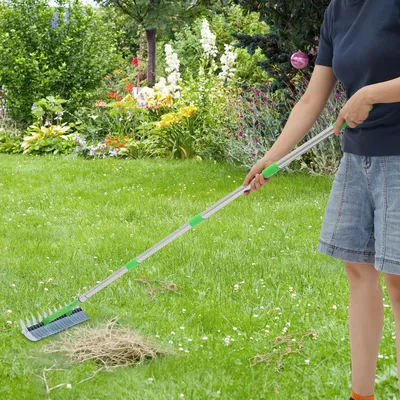 17m Lawn Thatch Rake Heavy Duty Carbon Steel Garden Tool for Dead Grass Removal Adjustable Ergonomic Handle Easy Assembly