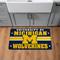 Michigan Wolverines 18