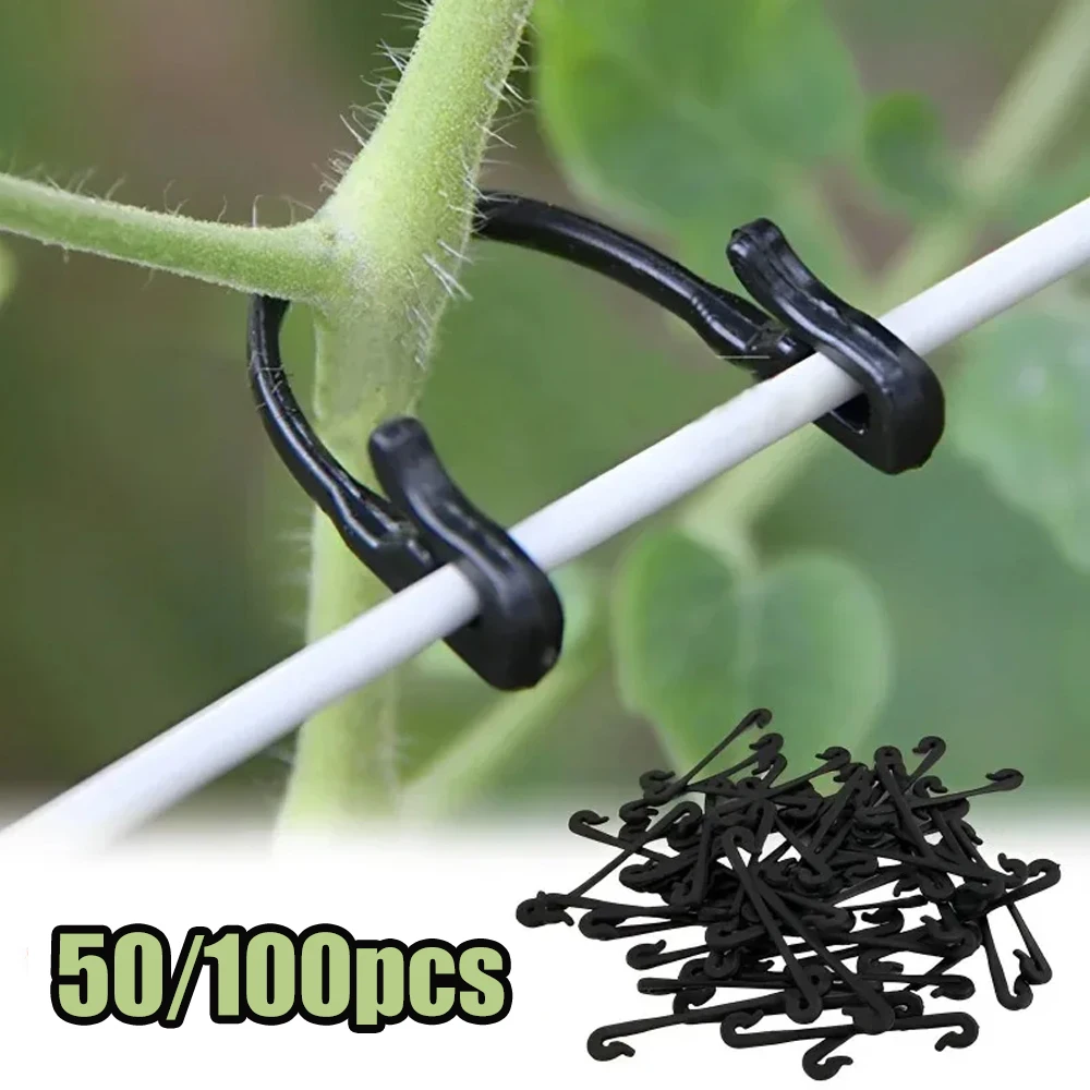 100/50Pcs Garten Pflanzen Feste Clips Schnallen Tomaten Gemüse Pfropfen Clips Trauben Unterstützung Reben Clips Kunststoff Feste Schnalle haken Image