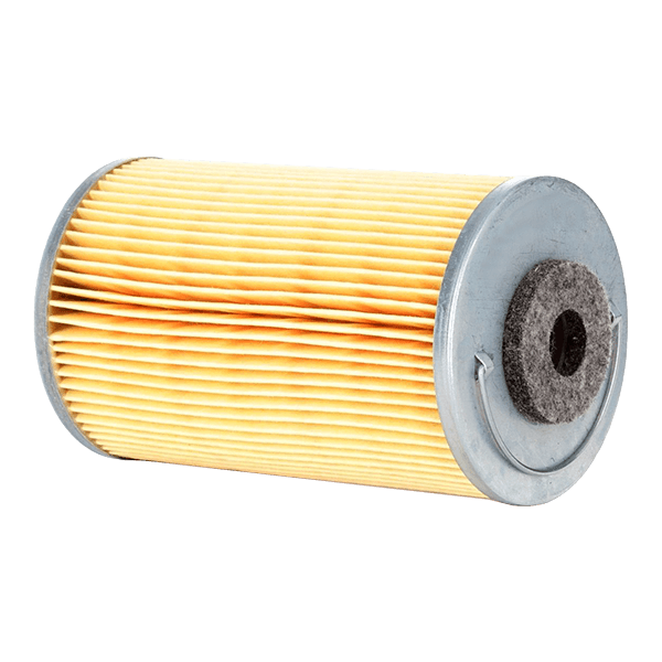 DT Spare Parts Kraftstofffilter OPEL,FORD,FIAT 12.23001 1729042,BS519155AA,95513399 Leitungsfilter,Spritfilter 880011,60693681,71773197,77363657