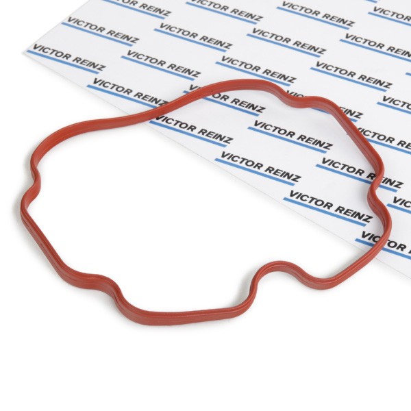 REINZ Dichtung, Ansaugkrümmergehäuse BMW 71-31827-00 11611729728 Image