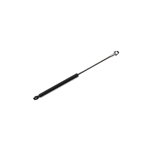 NTY Motorhaubendämpfer JAGUAR AE-JR-000 XR8316C826AA,XR847319 Haubendämpfer,Gasfeder, Motorhaube Image