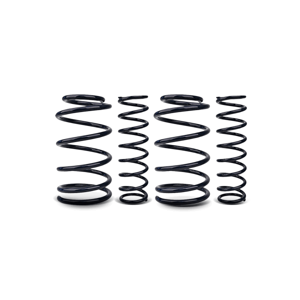 MAD Fahrwerksatz, Federn RENAULT HV-140445 Image